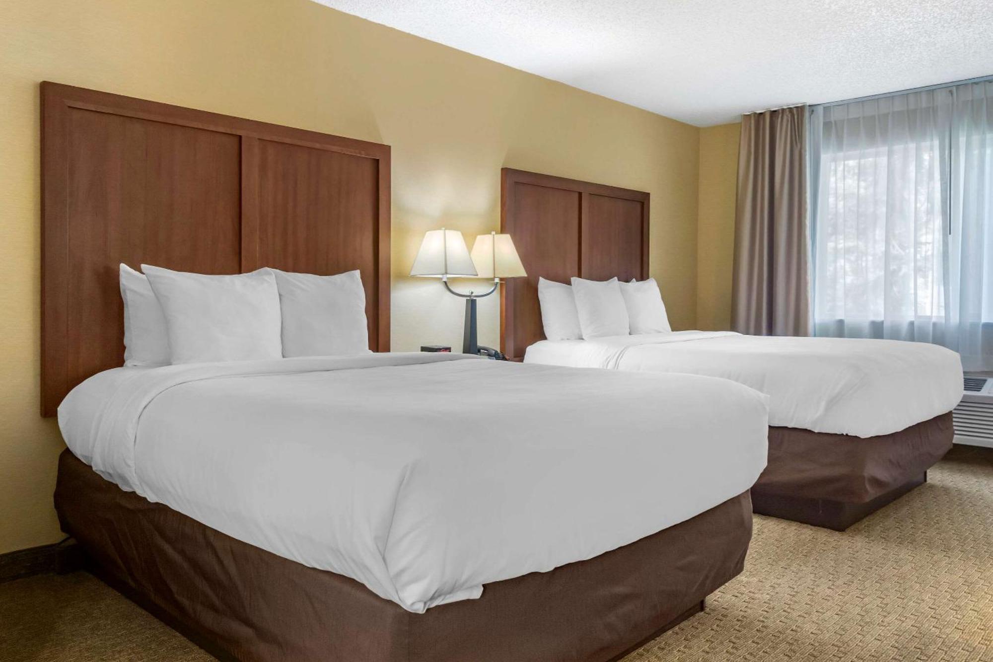 Comfort Inn & Suites Bothell - Seattle North Room photo