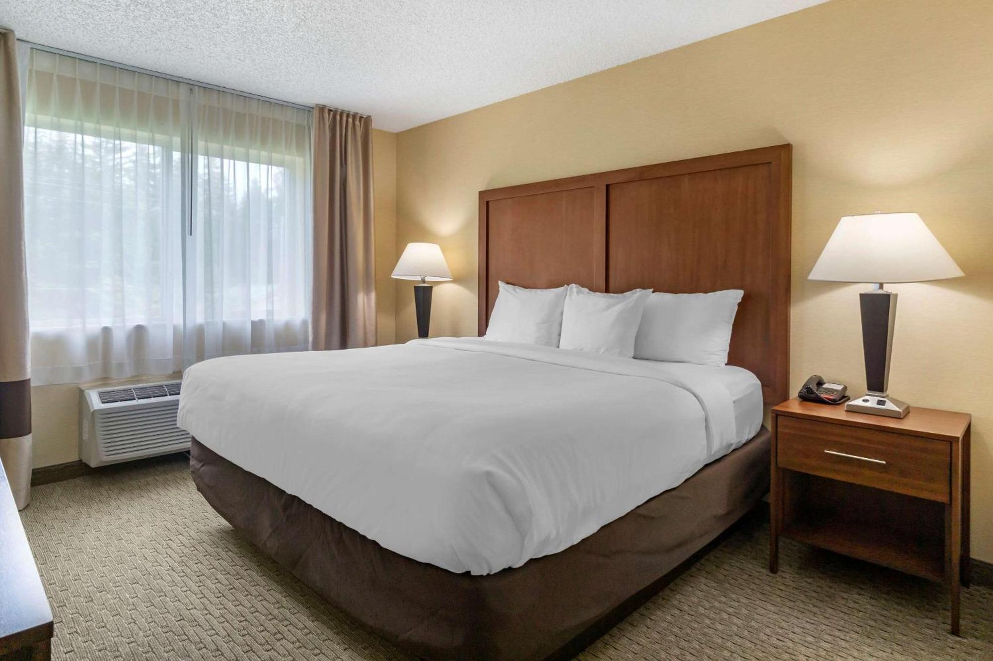 Comfort Inn & Suites Bothell - Seattle North Room photo